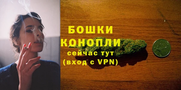 трава Нязепетровск