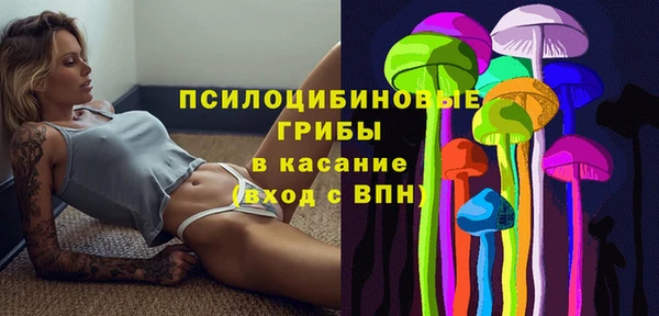 трава Нязепетровск