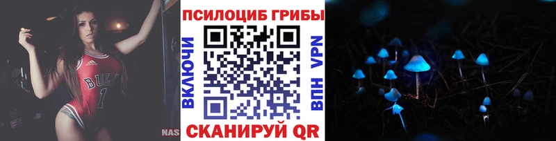 Купить где Приволжск Псилоцибиновые грибы мухоморы